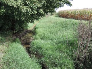 Property photo 41 - LAND AUCTION - 269.6+/-ACRES OFFERED IN 5 TRACTS IN MADISON COUNTY, INDIANA