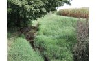 Property photo 41 - LAND AUCTION - 269.6+/-ACRES OFFERED IN 5 TRACTS IN MADISON COUNTY, INDIANA