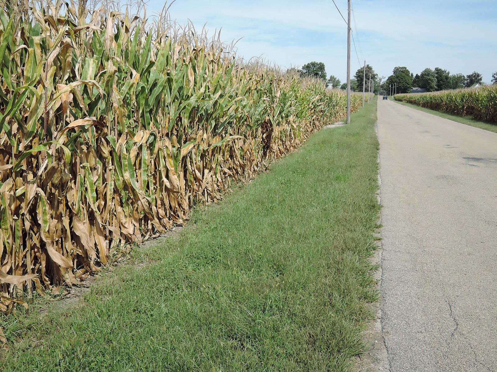 Property photo 50 - LAND AUCTION - 269.6+/-ACRES OFFERED IN 5 TRACTS IN MADISON COUNTY, INDIANA