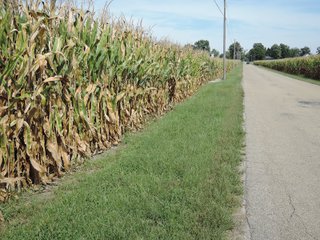 Property photo 50 - LAND AUCTION - 269.6+/-ACRES OFFERED IN 5 TRACTS IN MADISON COUNTY, INDIANA