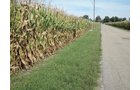 Property photo 50 - LAND AUCTION - 269.6+/-ACRES OFFERED IN 5 TRACTS IN MADISON COUNTY, INDIANA