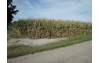 Property photo 48 - LAND AUCTION - 269.6+/-ACRES OFFERED IN 5 TRACTS IN MADISON COUNTY, INDIANA