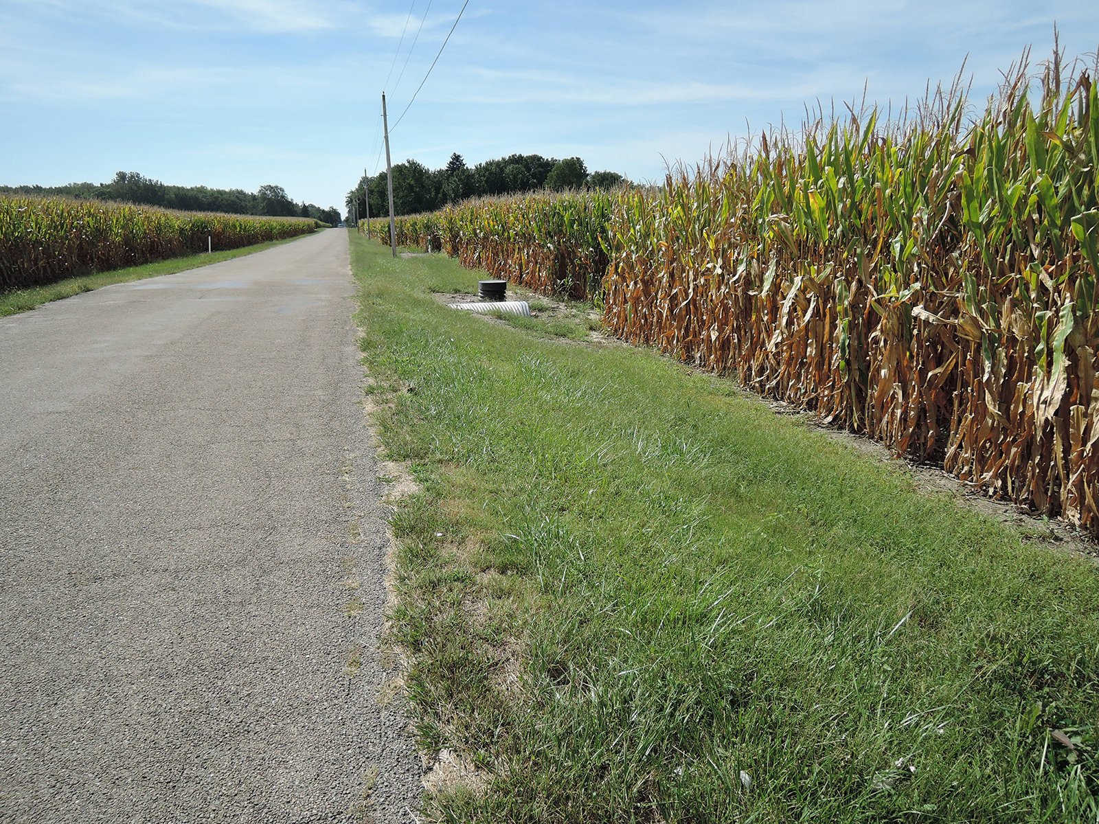 Property photo 49 - LAND AUCTION - 269.6+/-ACRES OFFERED IN 5 TRACTS IN MADISON COUNTY, INDIANA
