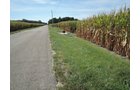 Property photo 49 - LAND AUCTION - 269.6+/-ACRES OFFERED IN 5 TRACTS IN MADISON COUNTY, INDIANA
