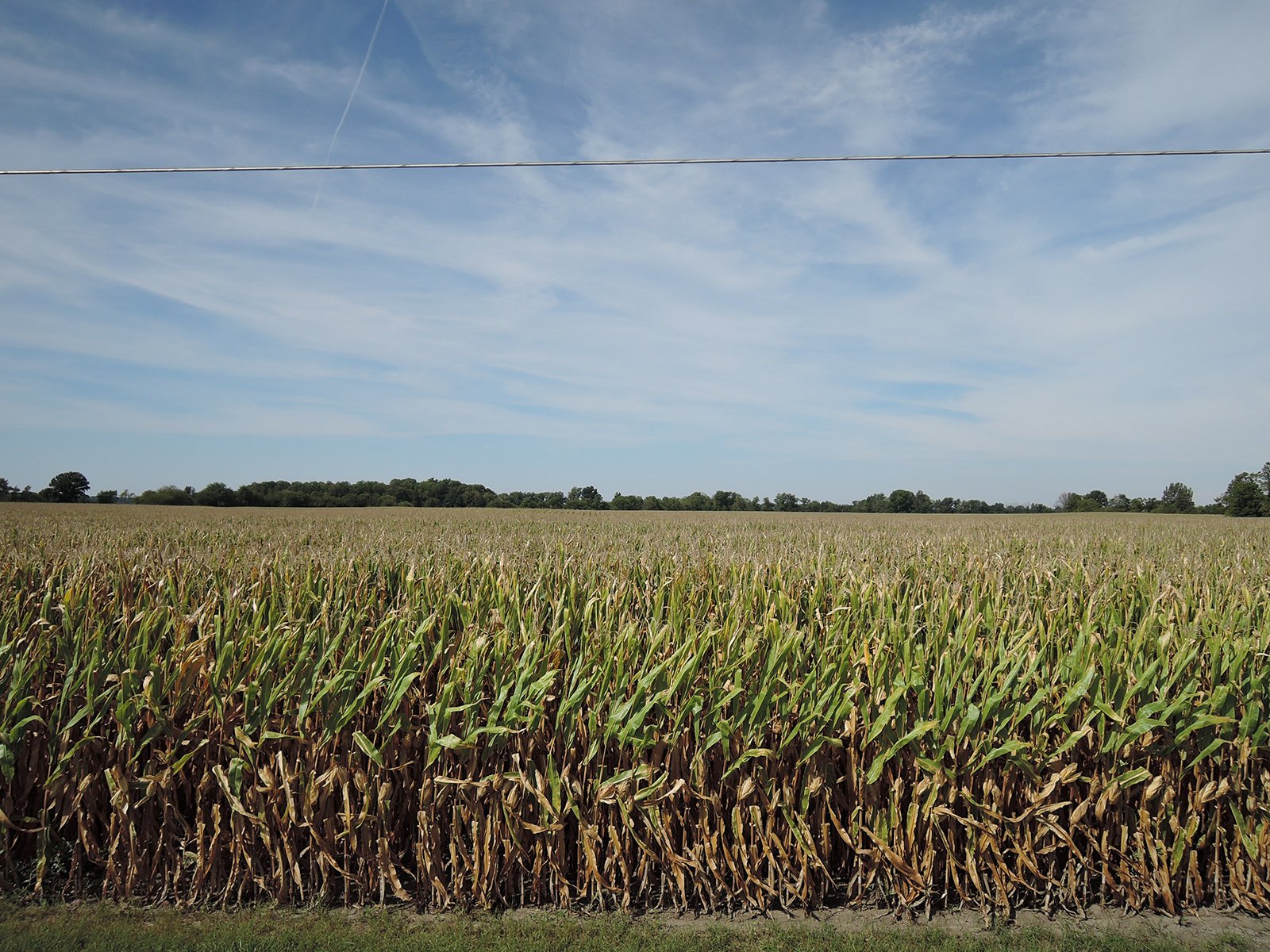 Property photo 42 - LAND AUCTION - 269.6+/-ACRES OFFERED IN 5 TRACTS IN MADISON COUNTY, INDIANA