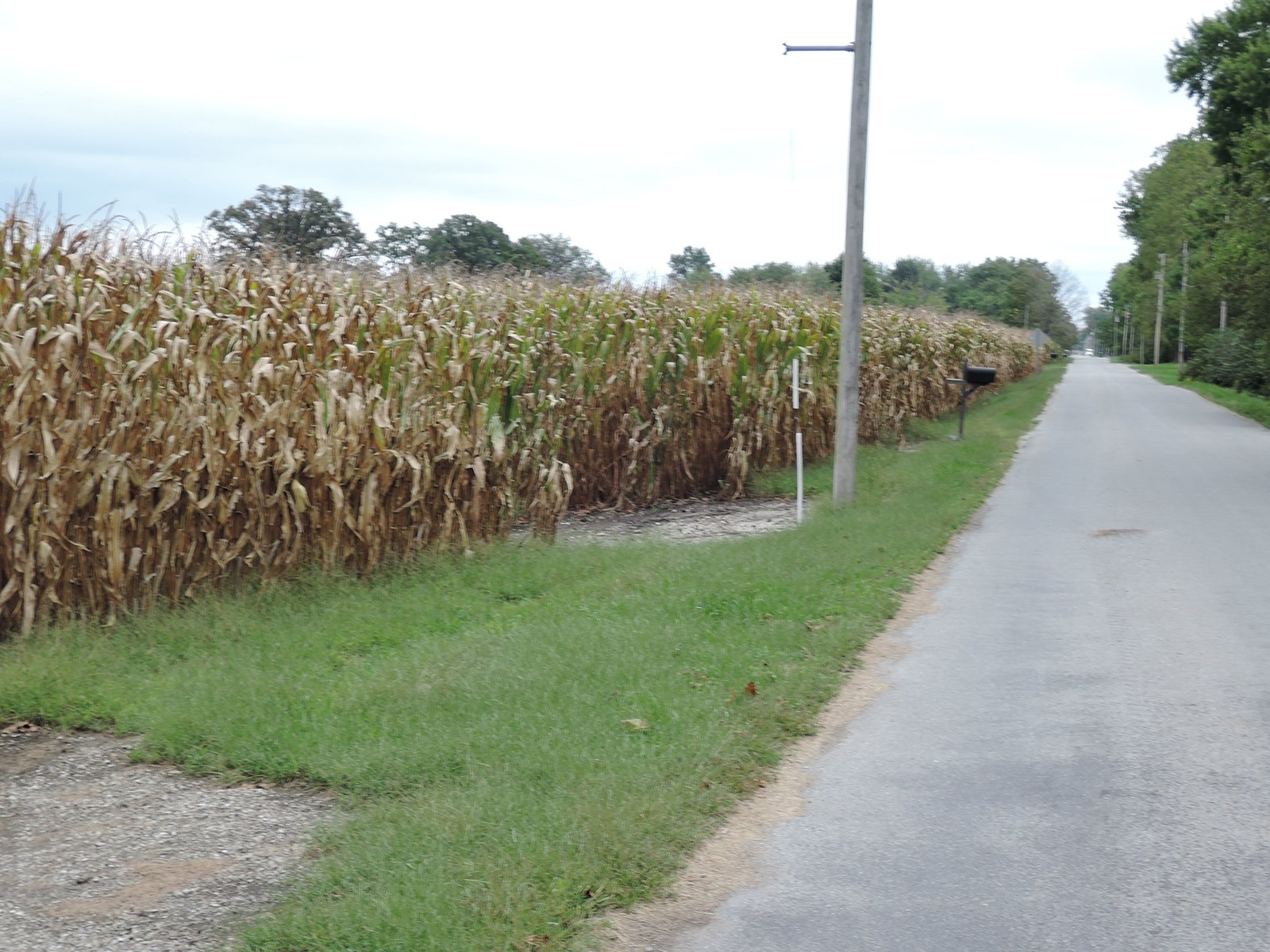 Property photo 53 - LAND AUCTION - 269.6+/-ACRES OFFERED IN 5 TRACTS IN MADISON COUNTY, INDIANA