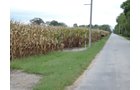 Property photo 53 - LAND AUCTION - 269.6+/-ACRES OFFERED IN 5 TRACTS IN MADISON COUNTY, INDIANA