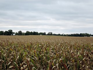 Property photo 43 - LAND AUCTION - 269.6+/-ACRES OFFERED IN 5 TRACTS IN MADISON COUNTY, INDIANA