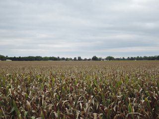 Property photo 44 - LAND AUCTION - 269.6+/-ACRES OFFERED IN 5 TRACTS IN MADISON COUNTY, INDIANA
