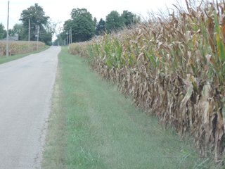 Property photo 54 - LAND AUCTION - 269.6+/-ACRES OFFERED IN 5 TRACTS IN MADISON COUNTY, INDIANA