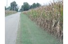 Property photo 54 - LAND AUCTION - 269.6+/-ACRES OFFERED IN 5 TRACTS IN MADISON COUNTY, INDIANA