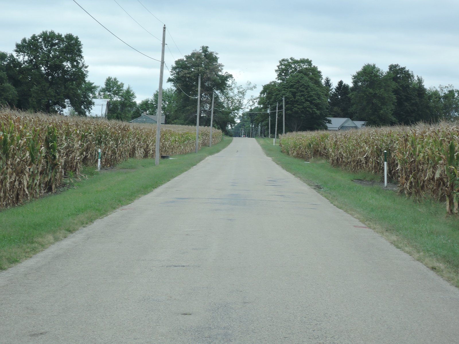 Property photo 55 - LAND AUCTION - 269.6+/-ACRES OFFERED IN 5 TRACTS IN MADISON COUNTY, INDIANA