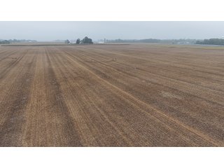 Property photo 15 - LAND AUCTION - 269.6+/-ACRES OFFERED IN 5 TRACTS IN MADISON COUNTY, INDIANA