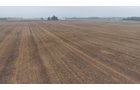 Property photo 15 - LAND AUCTION - 269.6+/-ACRES OFFERED IN 5 TRACTS IN MADISON COUNTY, INDIANA