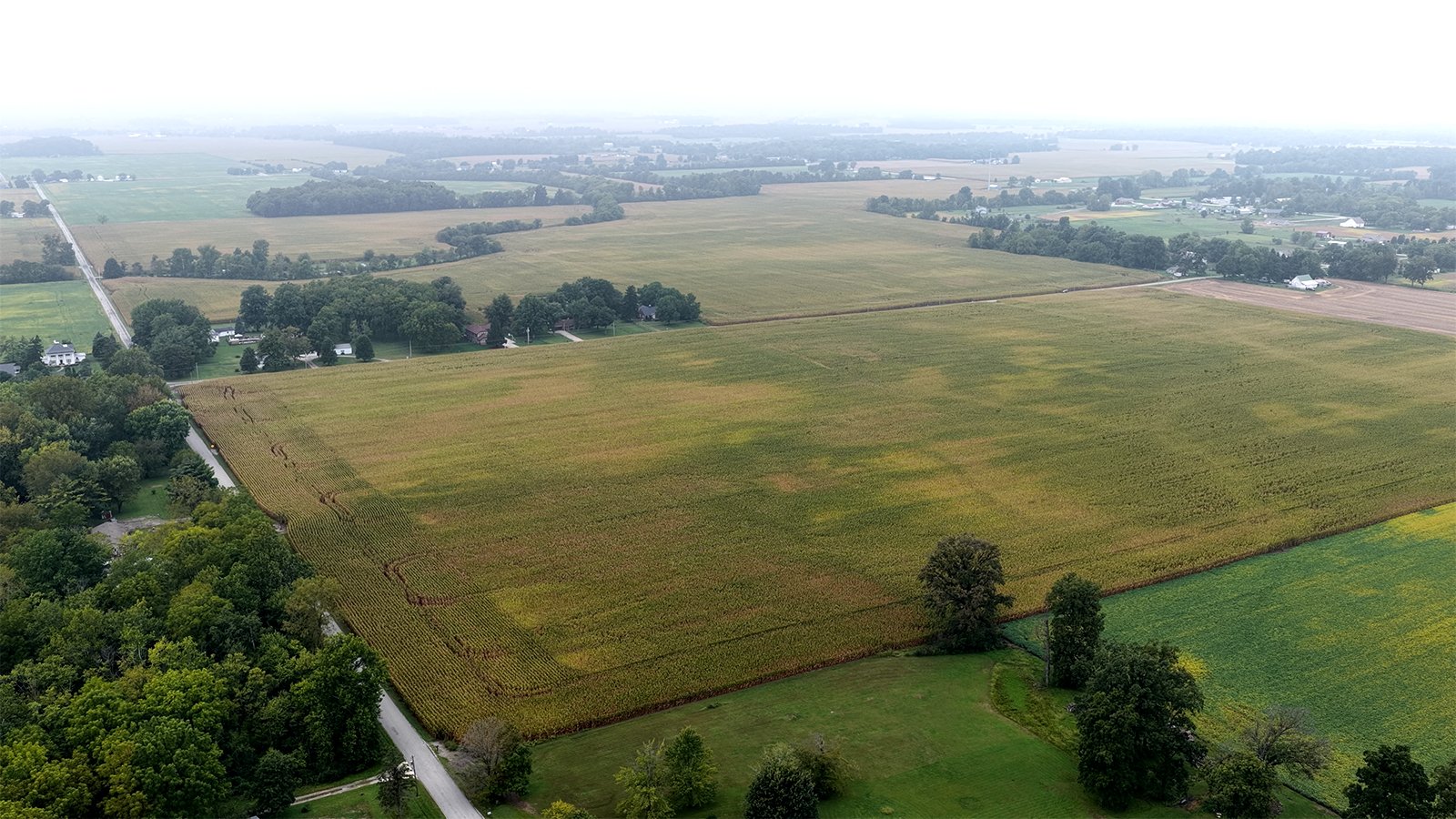 Property photo 18 - LAND AUCTION - 269.6+/-ACRES OFFERED IN 5 TRACTS IN MADISON COUNTY, INDIANA