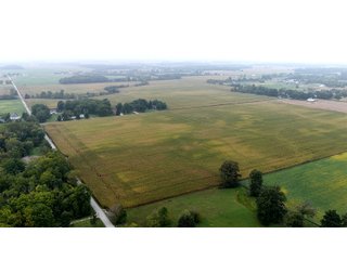 Property photo 18 - LAND AUCTION - 269.6+/-ACRES OFFERED IN 5 TRACTS IN MADISON COUNTY, INDIANA