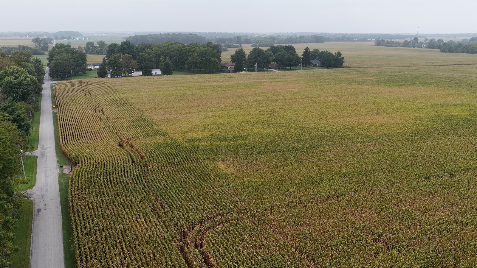 Property photo 19 - LAND AUCTION - 269.6+/-ACRES OFFERED IN 5 TRACTS IN MADISON COUNTY, INDIANA