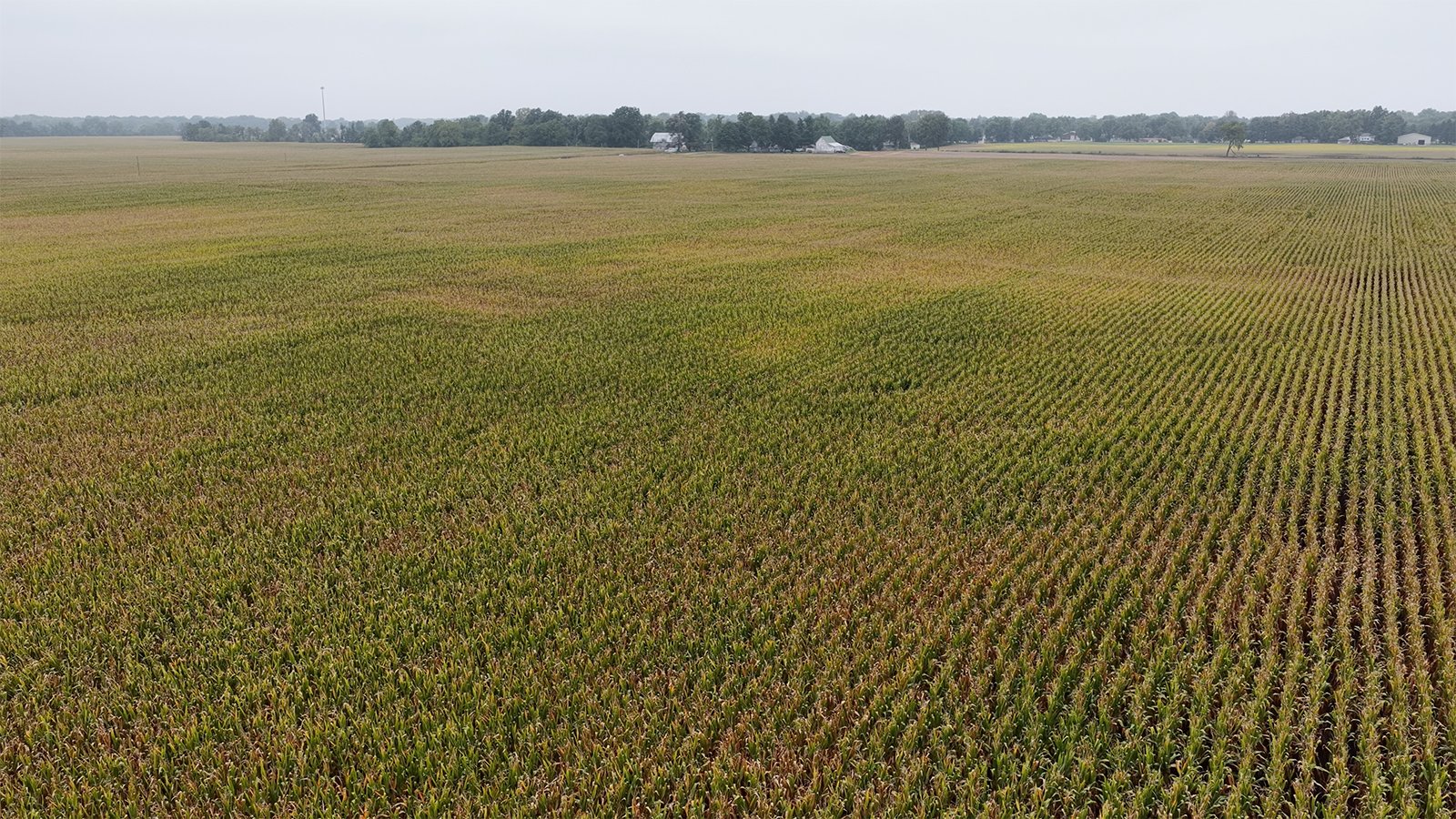 Property photo 20 - LAND AUCTION - 269.6+/-ACRES OFFERED IN 5 TRACTS IN MADISON COUNTY, INDIANA