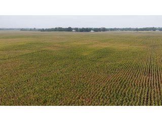 Property photo 20 - LAND AUCTION - 269.6+/-ACRES OFFERED IN 5 TRACTS IN MADISON COUNTY, INDIANA