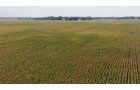 Property photo 20 - LAND AUCTION - 269.6+/-ACRES OFFERED IN 5 TRACTS IN MADISON COUNTY, INDIANA