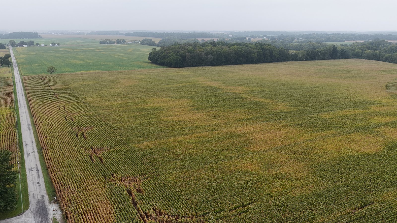 Property photo 22 - LAND AUCTION - 269.6+/-ACRES OFFERED IN 5 TRACTS IN MADISON COUNTY, INDIANA
