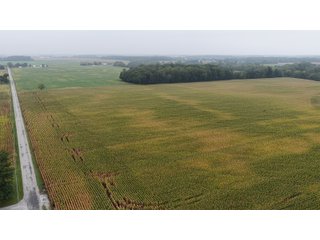 Property photo 22 - LAND AUCTION - 269.6+/-ACRES OFFERED IN 5 TRACTS IN MADISON COUNTY, INDIANA