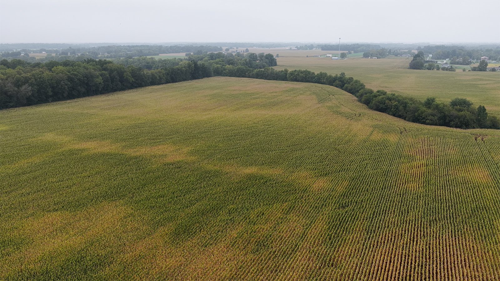 Property photo 23 - LAND AUCTION - 269.6+/-ACRES OFFERED IN 5 TRACTS IN MADISON COUNTY, INDIANA
