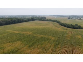 Property photo 23 - LAND AUCTION - 269.6+/-ACRES OFFERED IN 5 TRACTS IN MADISON COUNTY, INDIANA