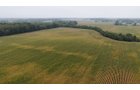 Property photo 23 - LAND AUCTION - 269.6+/-ACRES OFFERED IN 5 TRACTS IN MADISON COUNTY, INDIANA
