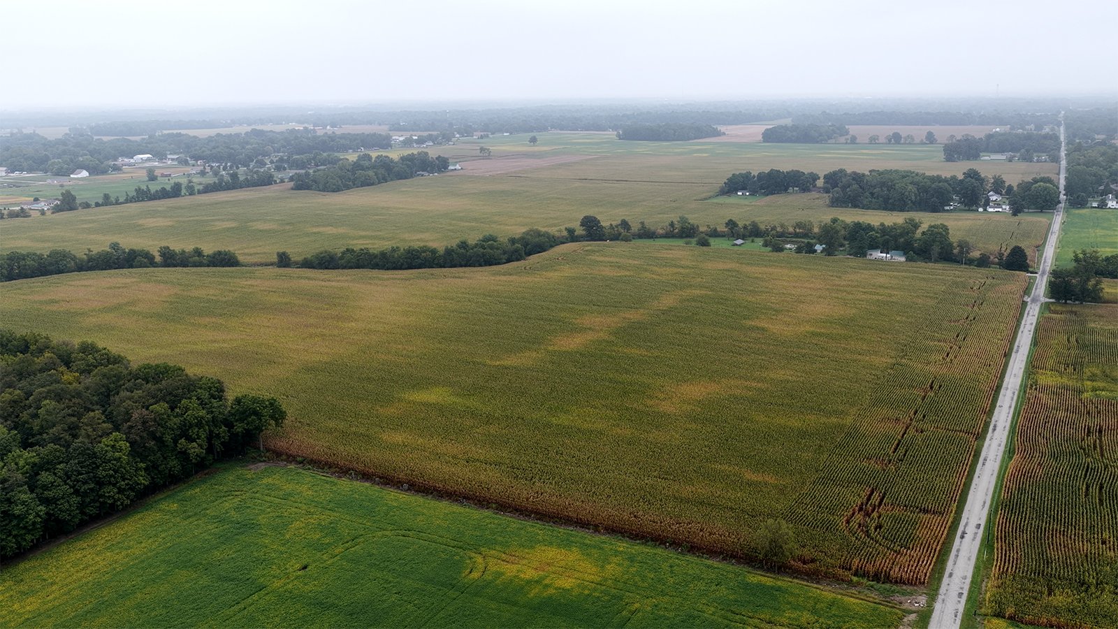 Property photo 24 - LAND AUCTION - 269.6+/-ACRES OFFERED IN 5 TRACTS IN MADISON COUNTY, INDIANA