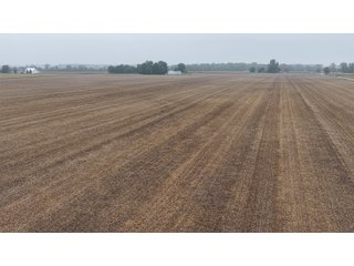 Property photo 2 - LAND AUCTION - 269.6+/-ACRES OFFERED IN 5 TRACTS IN MADISON COUNTY, INDIANA