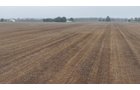 Property photo 2 - LAND AUCTION - 269.6+/-ACRES OFFERED IN 5 TRACTS IN MADISON COUNTY, INDIANA
