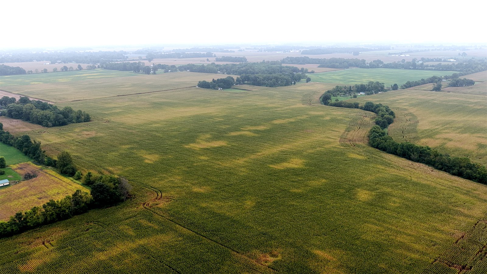Property photo 25 - LAND AUCTION - 269.6+/-ACRES OFFERED IN 5 TRACTS IN MADISON COUNTY, INDIANA