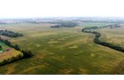 Property photo 25 - LAND AUCTION - 269.6+/-ACRES OFFERED IN 5 TRACTS IN MADISON COUNTY, INDIANA