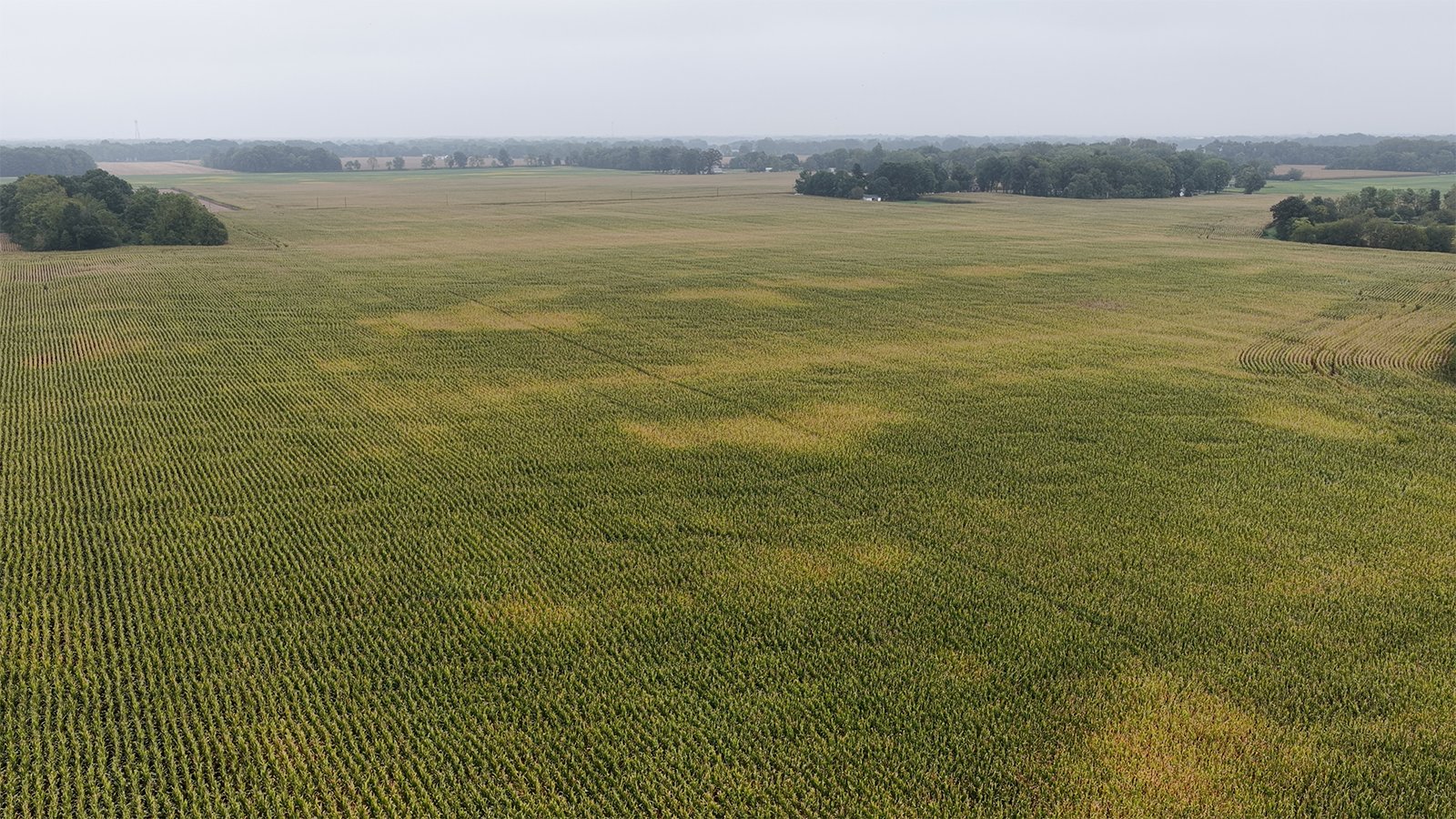 Property photo 26 - LAND AUCTION - 269.6+/-ACRES OFFERED IN 5 TRACTS IN MADISON COUNTY, INDIANA
