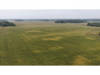 Property photo 26 - LAND AUCTION - 269.6+/-ACRES OFFERED IN 5 TRACTS IN MADISON COUNTY, INDIANA