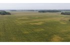 Property photo 26 - LAND AUCTION - 269.6+/-ACRES OFFERED IN 5 TRACTS IN MADISON COUNTY, INDIANA