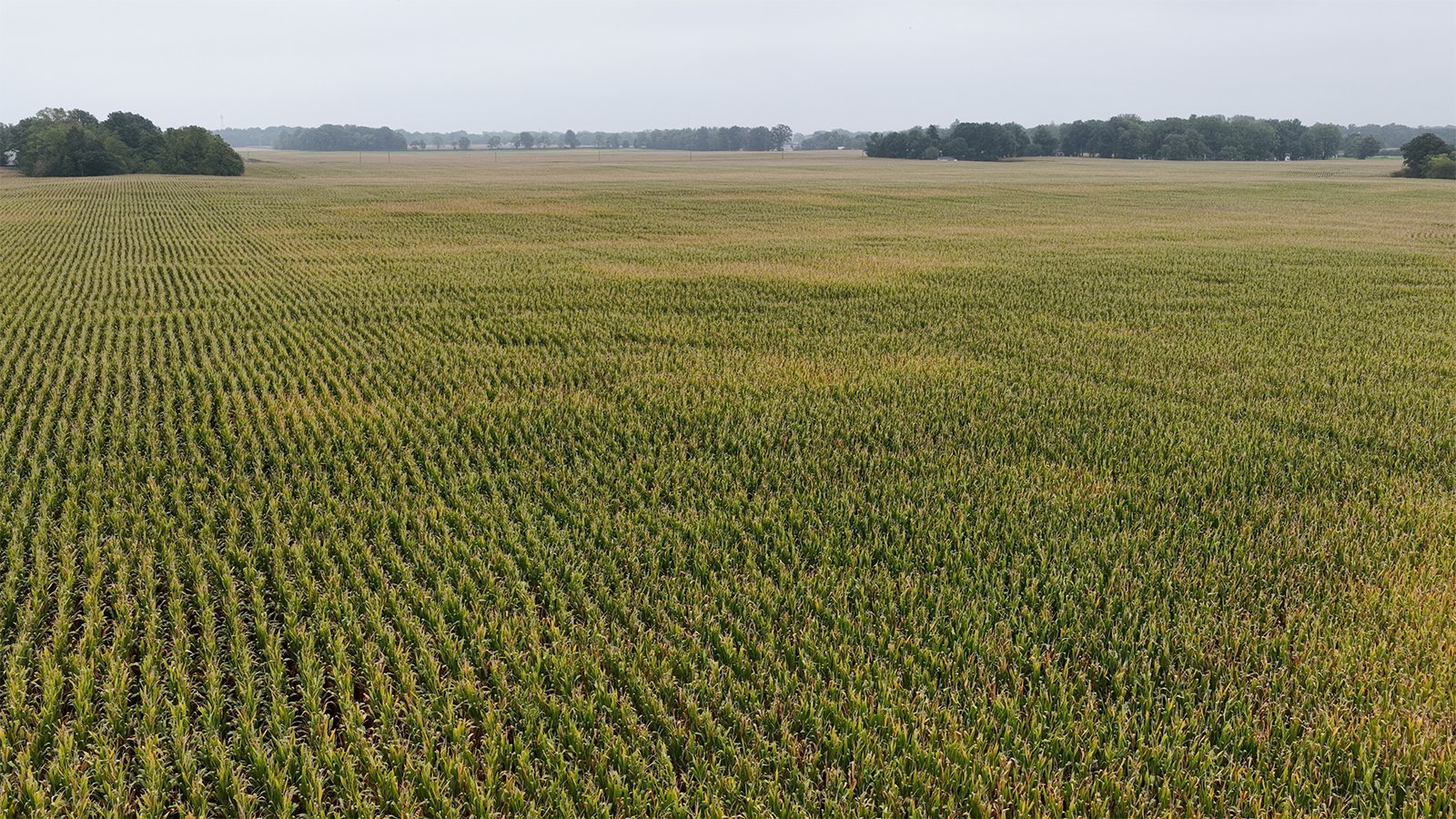 Property photo 27 - LAND AUCTION - 269.6+/-ACRES OFFERED IN 5 TRACTS IN MADISON COUNTY, INDIANA