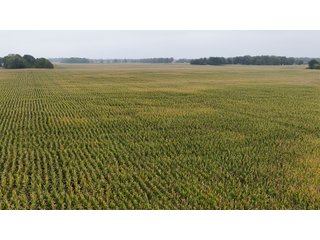 Property photo 27 - LAND AUCTION - 269.6+/-ACRES OFFERED IN 5 TRACTS IN MADISON COUNTY, INDIANA