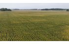 Property photo 27 - LAND AUCTION - 269.6+/-ACRES OFFERED IN 5 TRACTS IN MADISON COUNTY, INDIANA