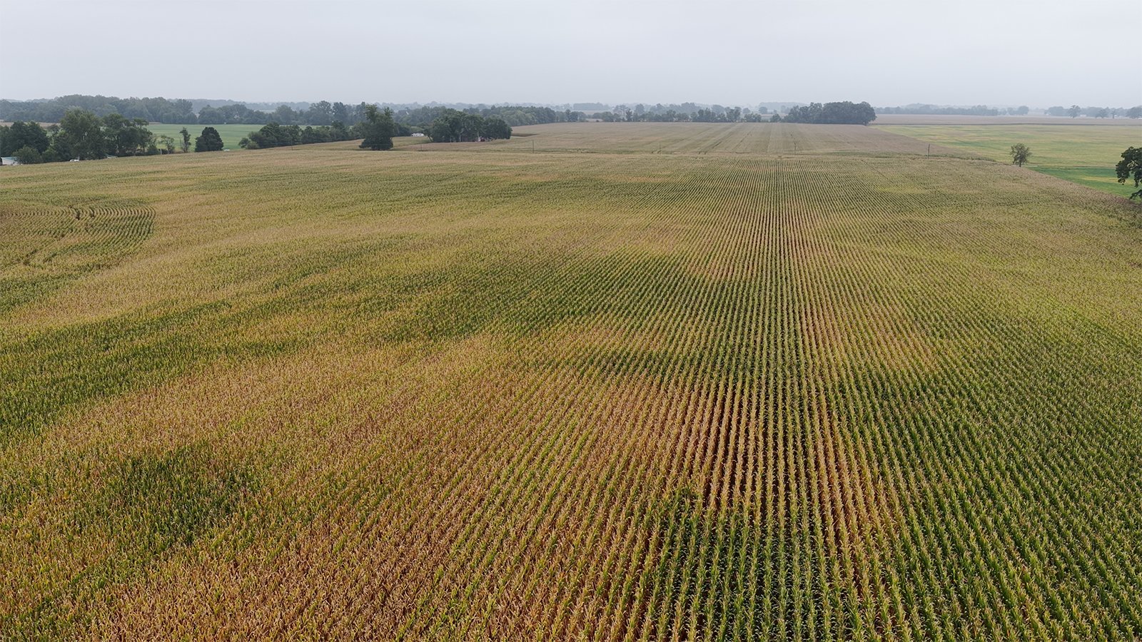 Property photo 28 - LAND AUCTION - 269.6+/-ACRES OFFERED IN 5 TRACTS IN MADISON COUNTY, INDIANA