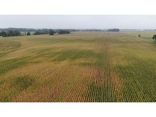 Property photo 28 - LAND AUCTION - 269.6+/-ACRES OFFERED IN 5 TRACTS IN MADISON COUNTY, INDIANA
