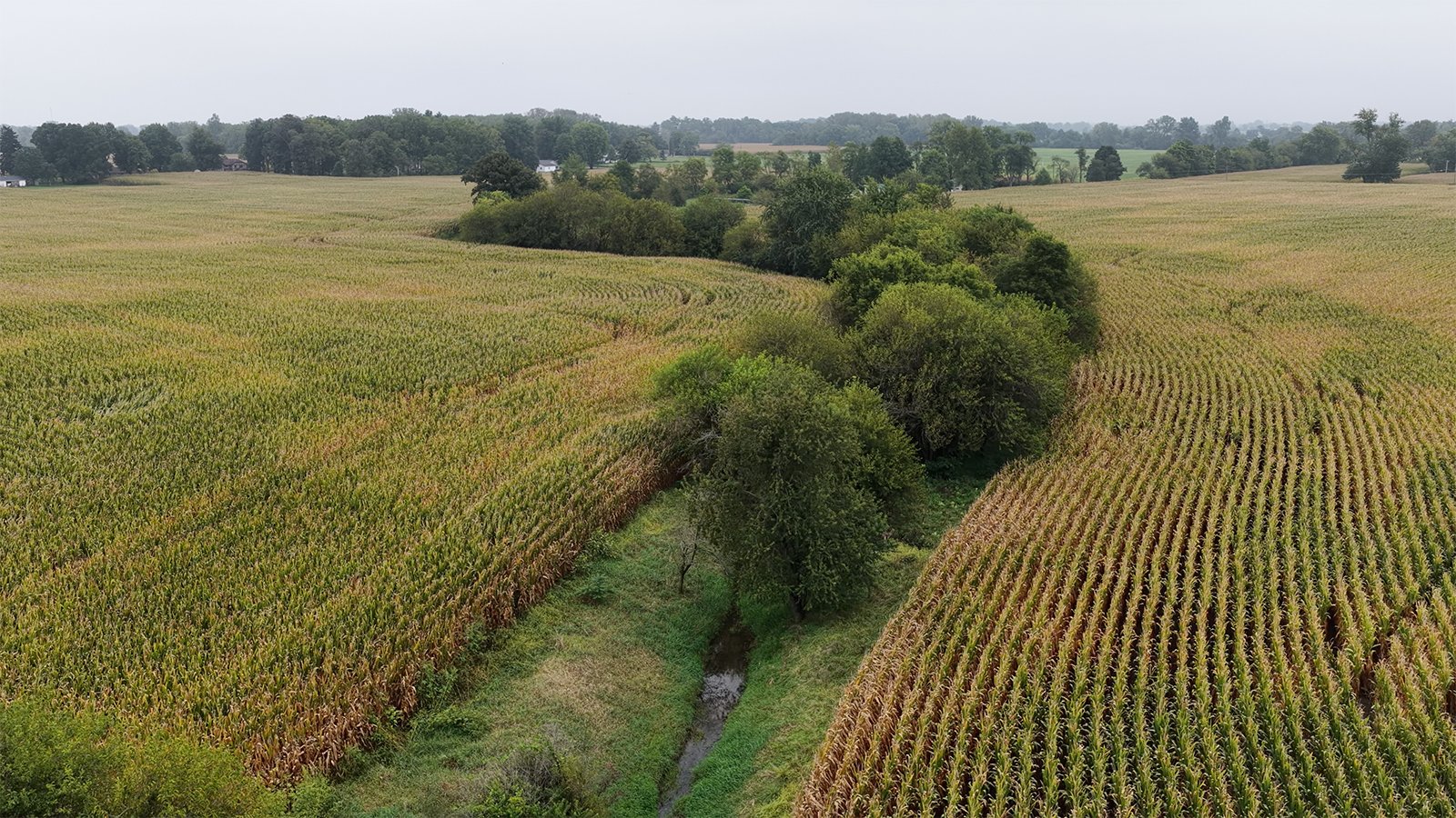 Property photo 29 - LAND AUCTION - 269.6+/-ACRES OFFERED IN 5 TRACTS IN MADISON COUNTY, INDIANA