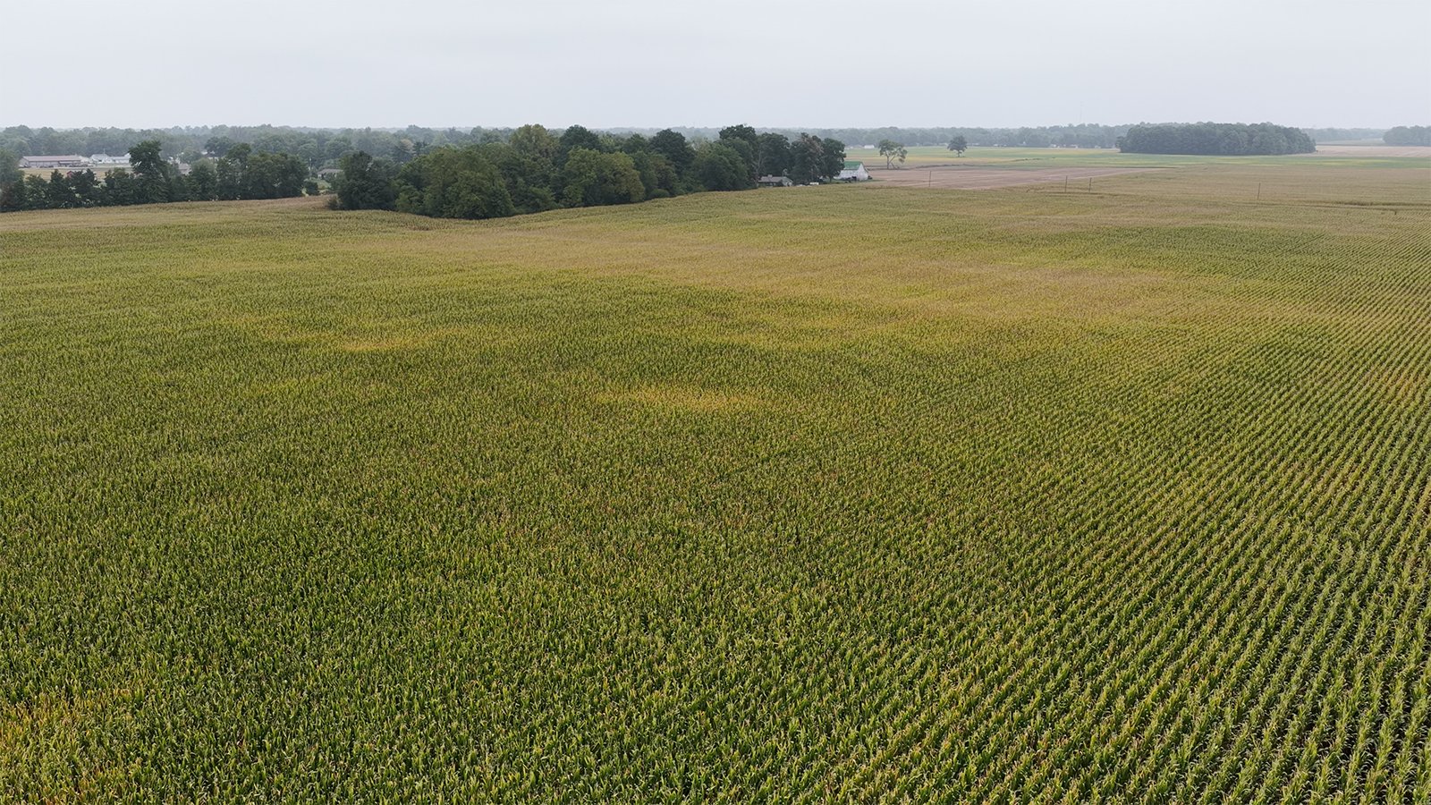Property photo 30 - LAND AUCTION - 269.6+/-ACRES OFFERED IN 5 TRACTS IN MADISON COUNTY, INDIANA