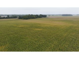 Property photo 30 - LAND AUCTION - 269.6+/-ACRES OFFERED IN 5 TRACTS IN MADISON COUNTY, INDIANA