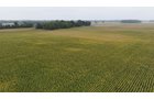 Property photo 30 - LAND AUCTION - 269.6+/-ACRES OFFERED IN 5 TRACTS IN MADISON COUNTY, INDIANA