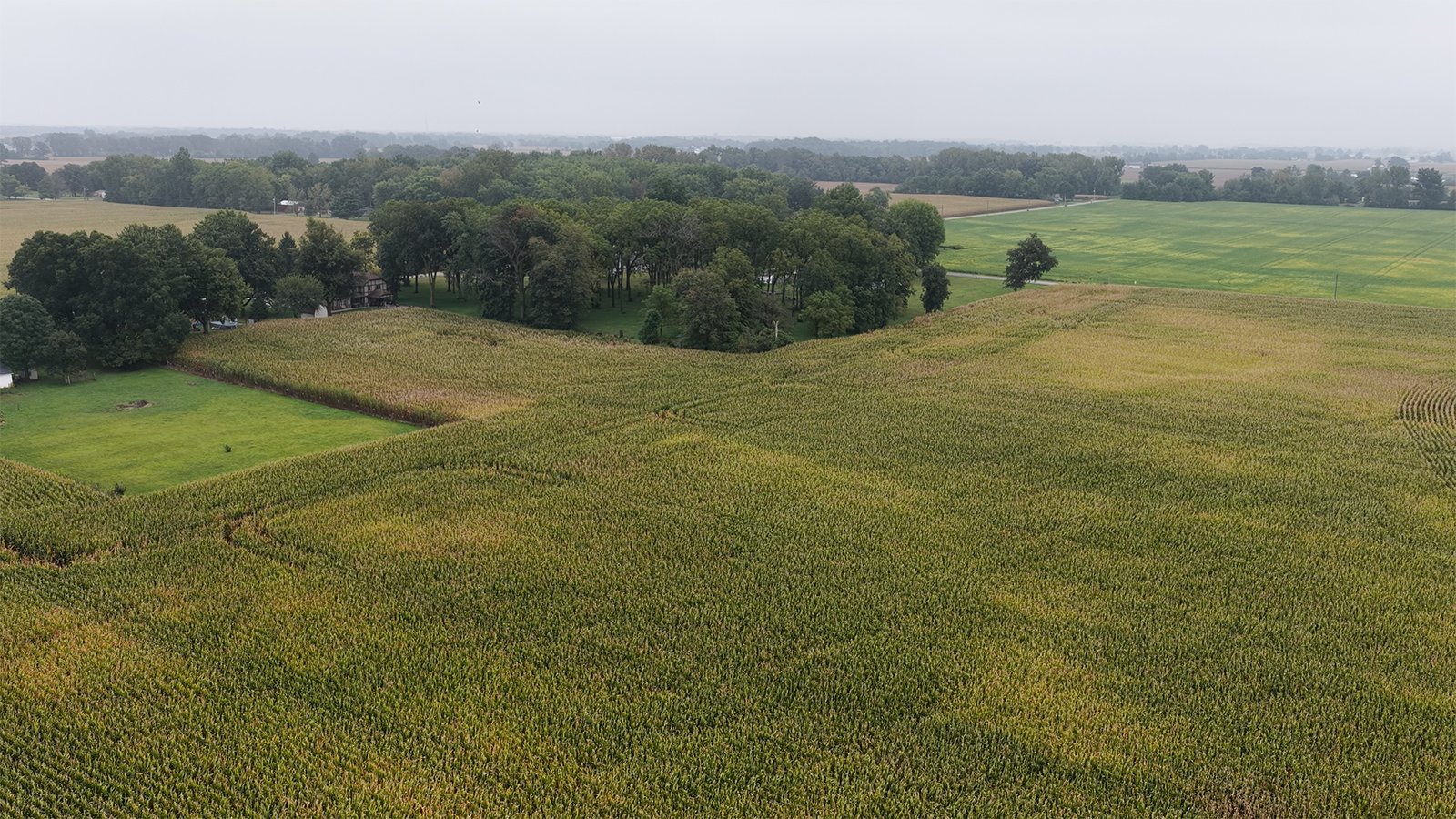 Property photo 31 - LAND AUCTION - 269.6+/-ACRES OFFERED IN 5 TRACTS IN MADISON COUNTY, INDIANA