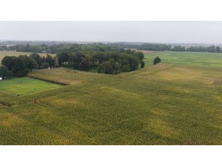 Property photo 31 - LAND AUCTION - 269.6+/-ACRES OFFERED IN 5 TRACTS IN MADISON COUNTY, INDIANA