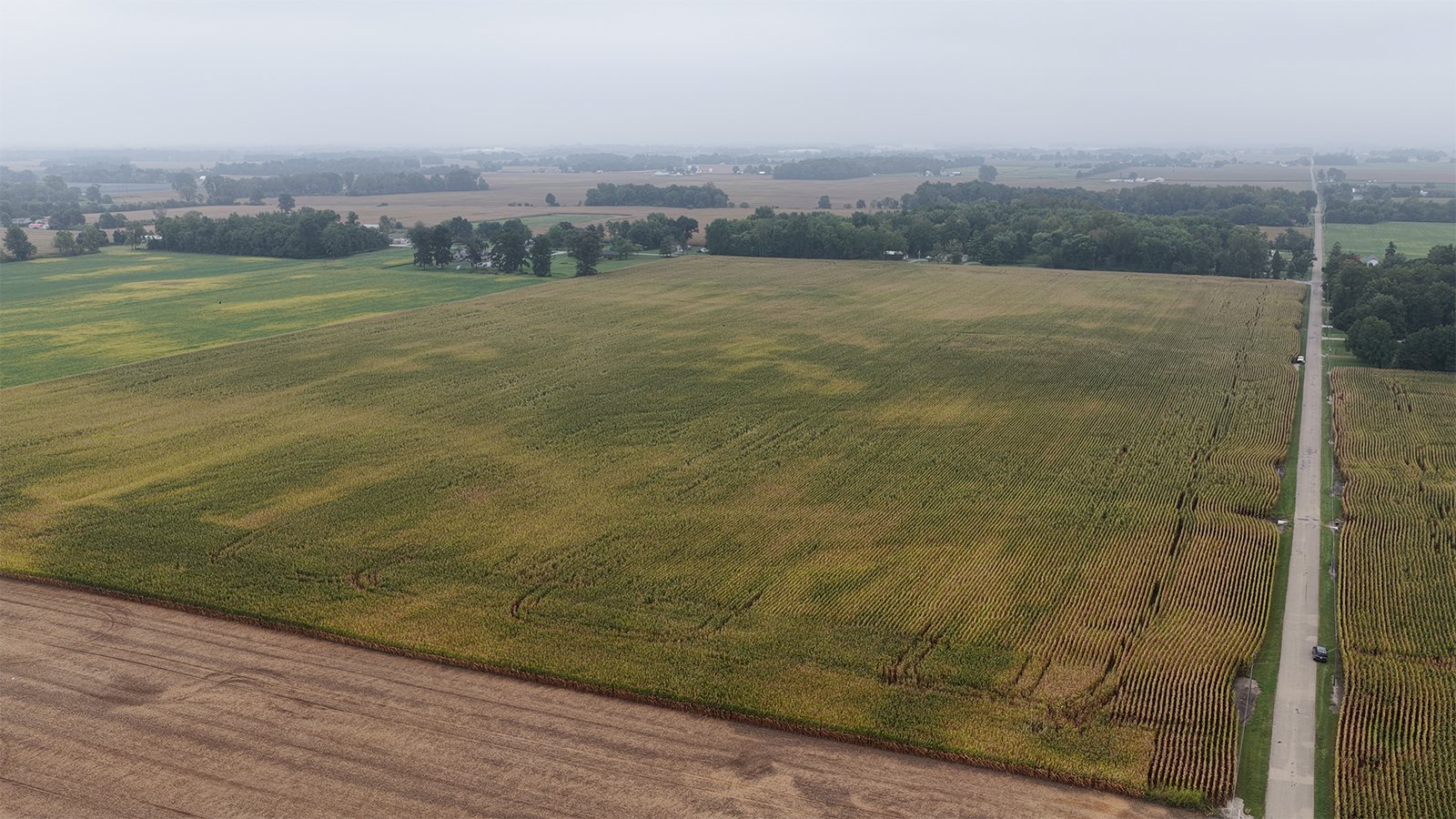 Property photo 32 - LAND AUCTION - 269.6+/-ACRES OFFERED IN 5 TRACTS IN MADISON COUNTY, INDIANA