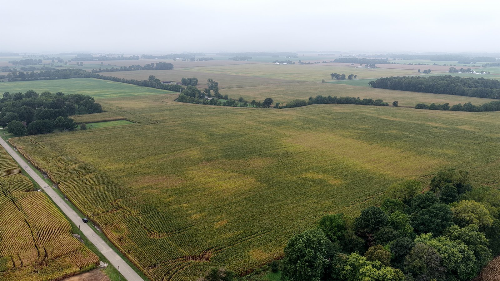 Property photo 33 - LAND AUCTION - 269.6+/-ACRES OFFERED IN 5 TRACTS IN MADISON COUNTY, INDIANA